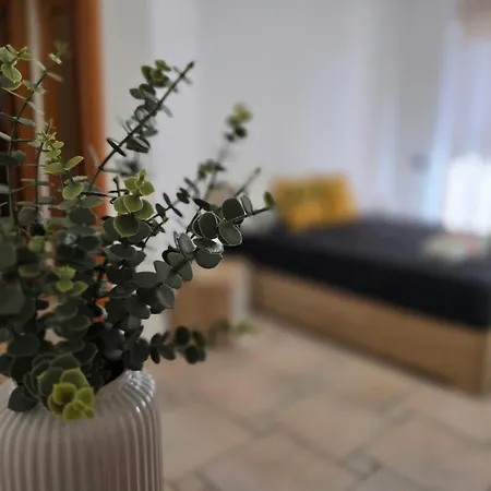 Il Rifugio Di Carlotta - Vakantiehuis Bari