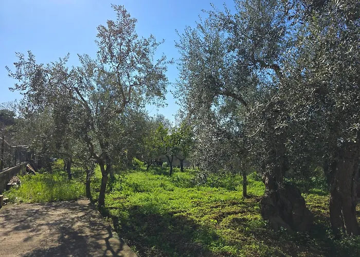Hébergement de vacances Il Rifugio Di Carlotta - Bari