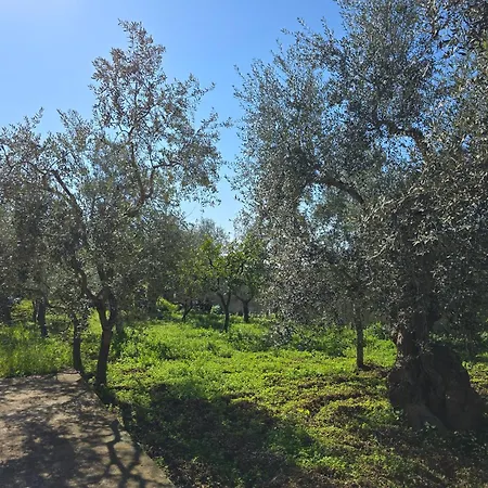 Casa vacanze 10 Min Airport&wifi - Wonderful 5 Stelle Bari