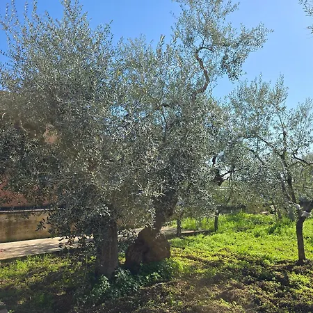 Il Rifugio Di Carlotta - Holiday home Bari