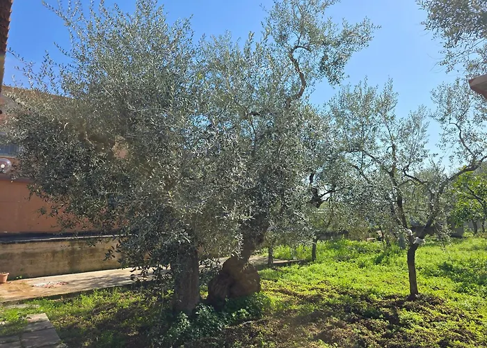 Il Rifugio Di Carlotta - Holiday home Bari